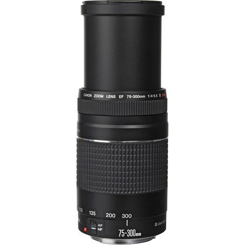 Canon EF 75-300mm f/4-5.6 III USM - Image 3