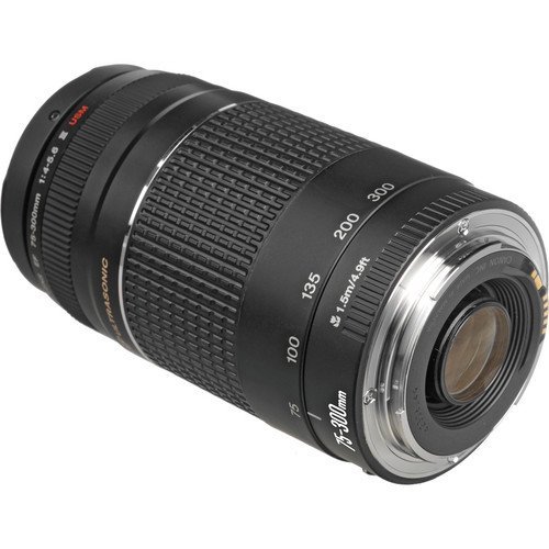 Canon EF 75-300mm f/4-5.6 III USM - Image 2