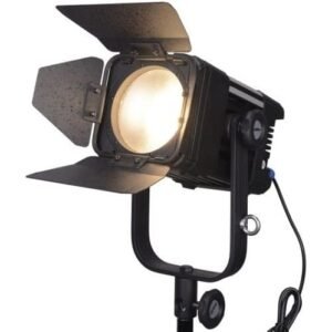 LED Go LG-D300C LED Fresnel Light Bi Color