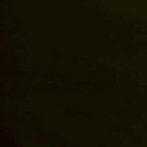 Solid Color Background-Black (3 x 6 m)